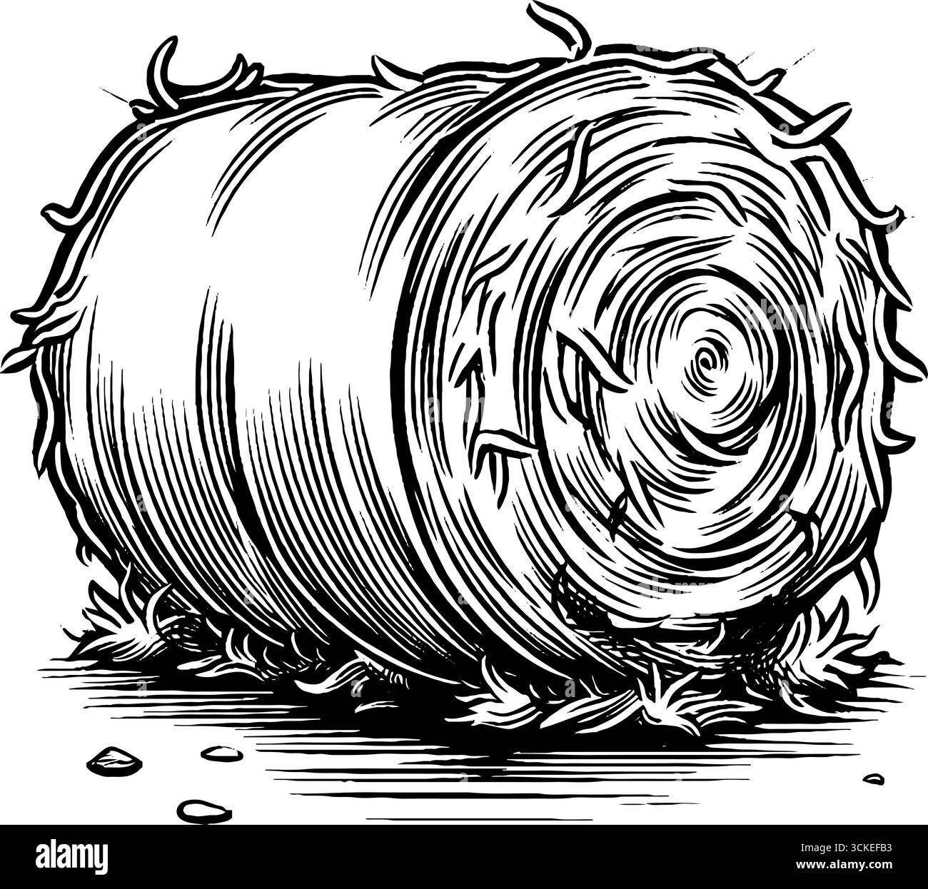 Illustration de balle de foin gravée pour la conception de ferme vintage. Illustration de Vecteur