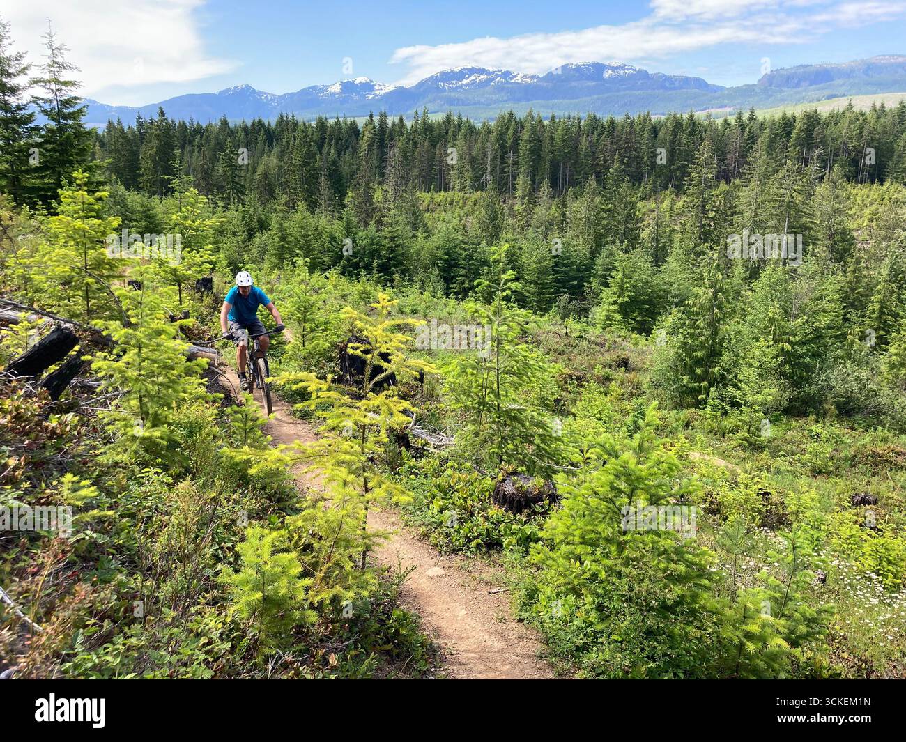 VTT sur un sentier à Cumberland, île de Vancouver, Colombie-Britannique, Canada. - Image de stock capturée avec un smartphone