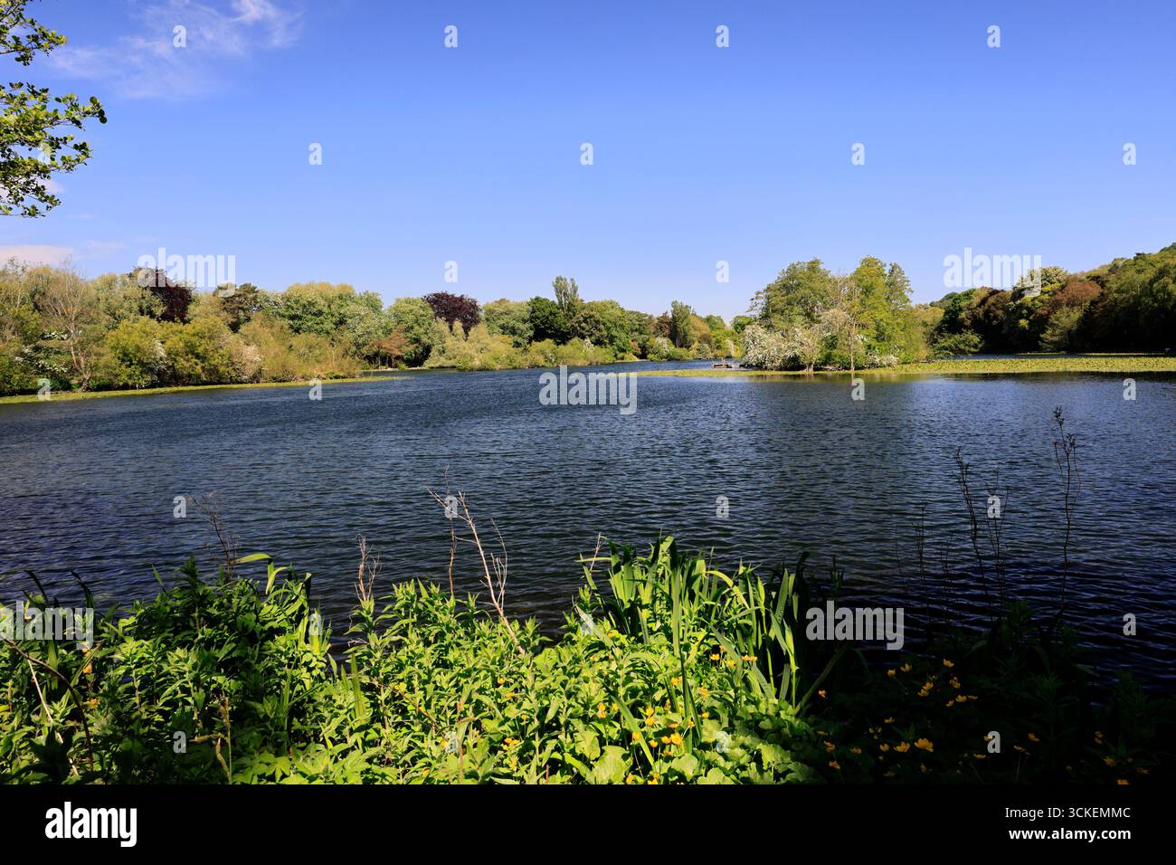 Vue estivale sur le Mere Country Park à Scarborough Town, North Yorkshire, Angleterre, Royaume-Uni Banque D'Images