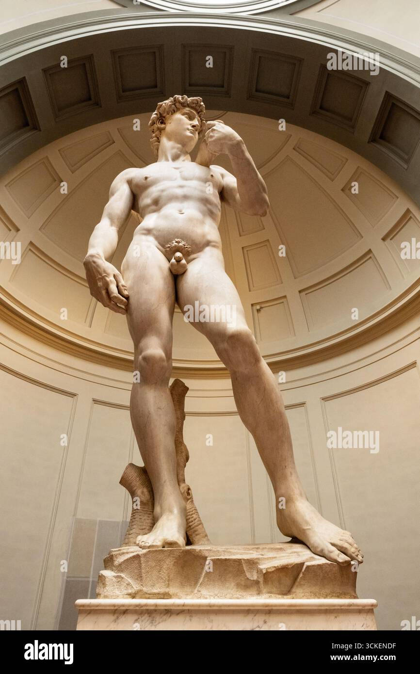 David est un chef-d'œuvre de la sculpture de la Renaissance italienne en marbre créé de 1501 à 1504 par Michel-Ange, dans la Galleria dell'Accademia, Florence. Banque D'Images