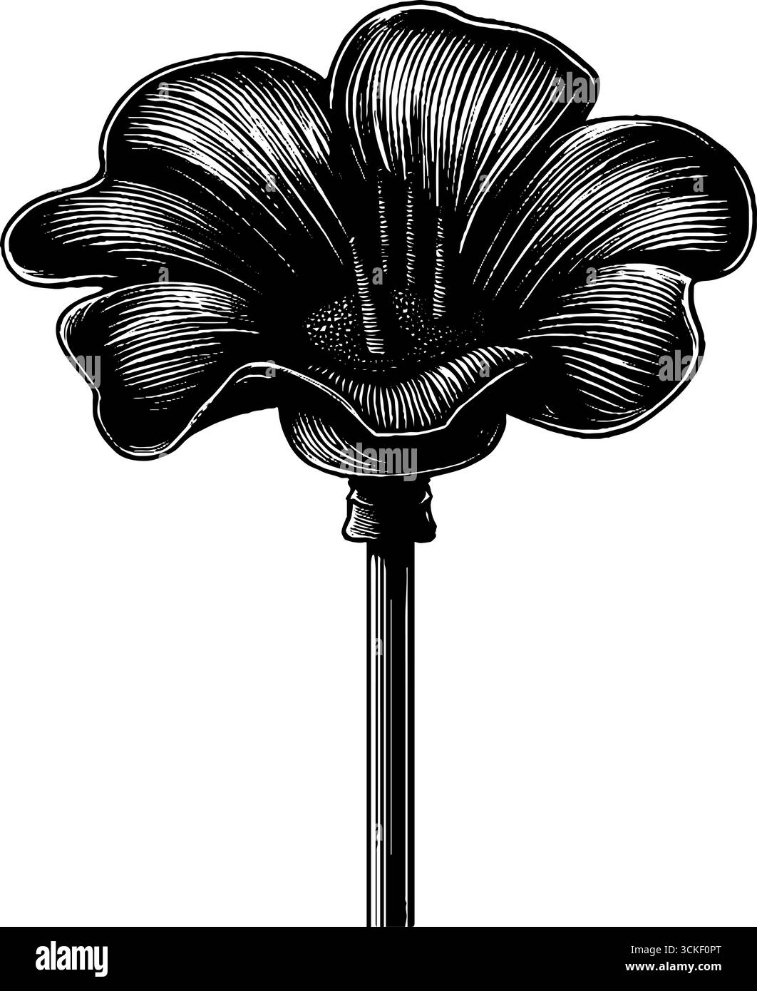 Illustration de fleurs de rafflesia gravées pour l'art et le design de la nature. Illustration de Vecteur