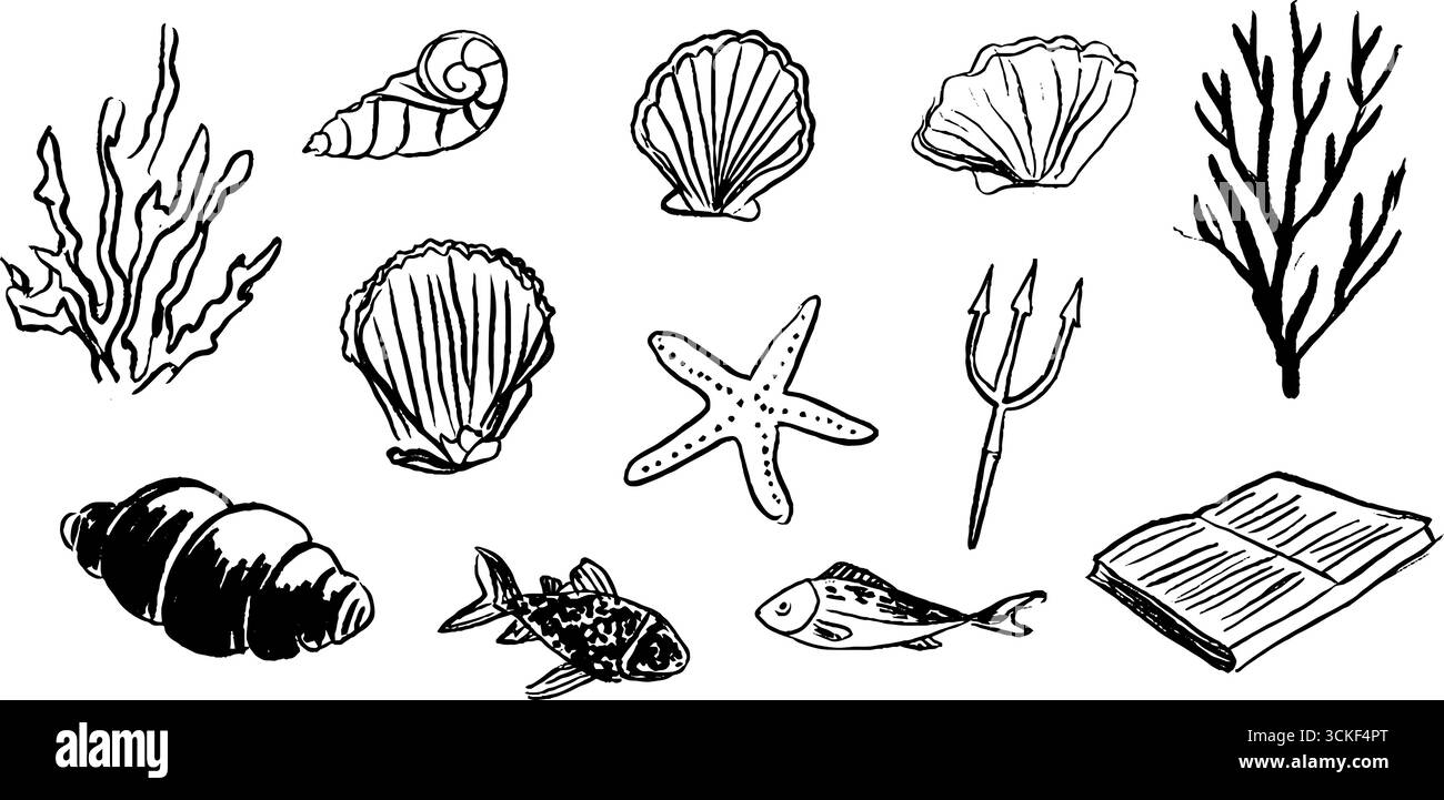 Croquis noir et blanc de la vie océanique : sirènes, coquillages et créatures marines. Illustration de Vecteur