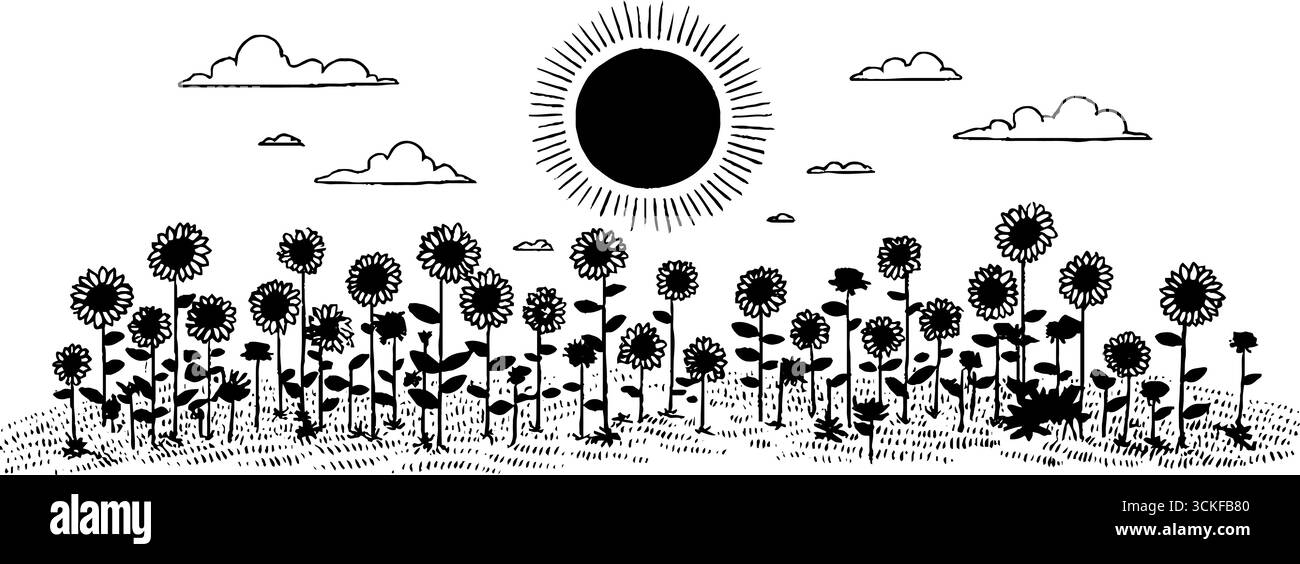 Champ de tournesol noir et blanc minimaliste avec illustration solaire. Illustration de Vecteur