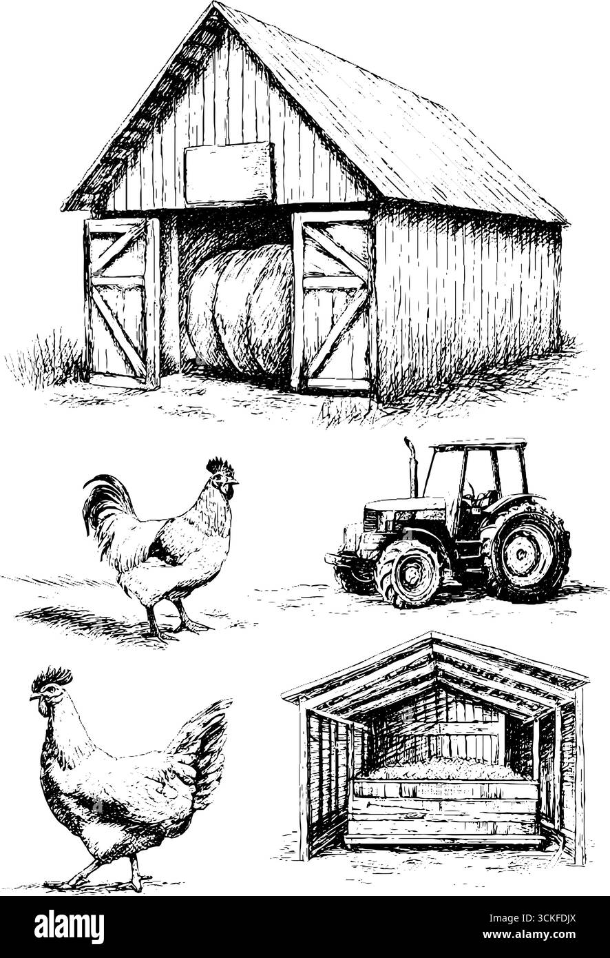 Scène de ferme rustique avec grange, tracteur et poulets dans un croquis détaillé. Illustration de Vecteur