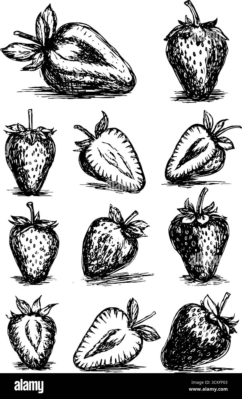 Croquis à la fraise dessinés à la main dans différents styles. Illustration de Vecteur