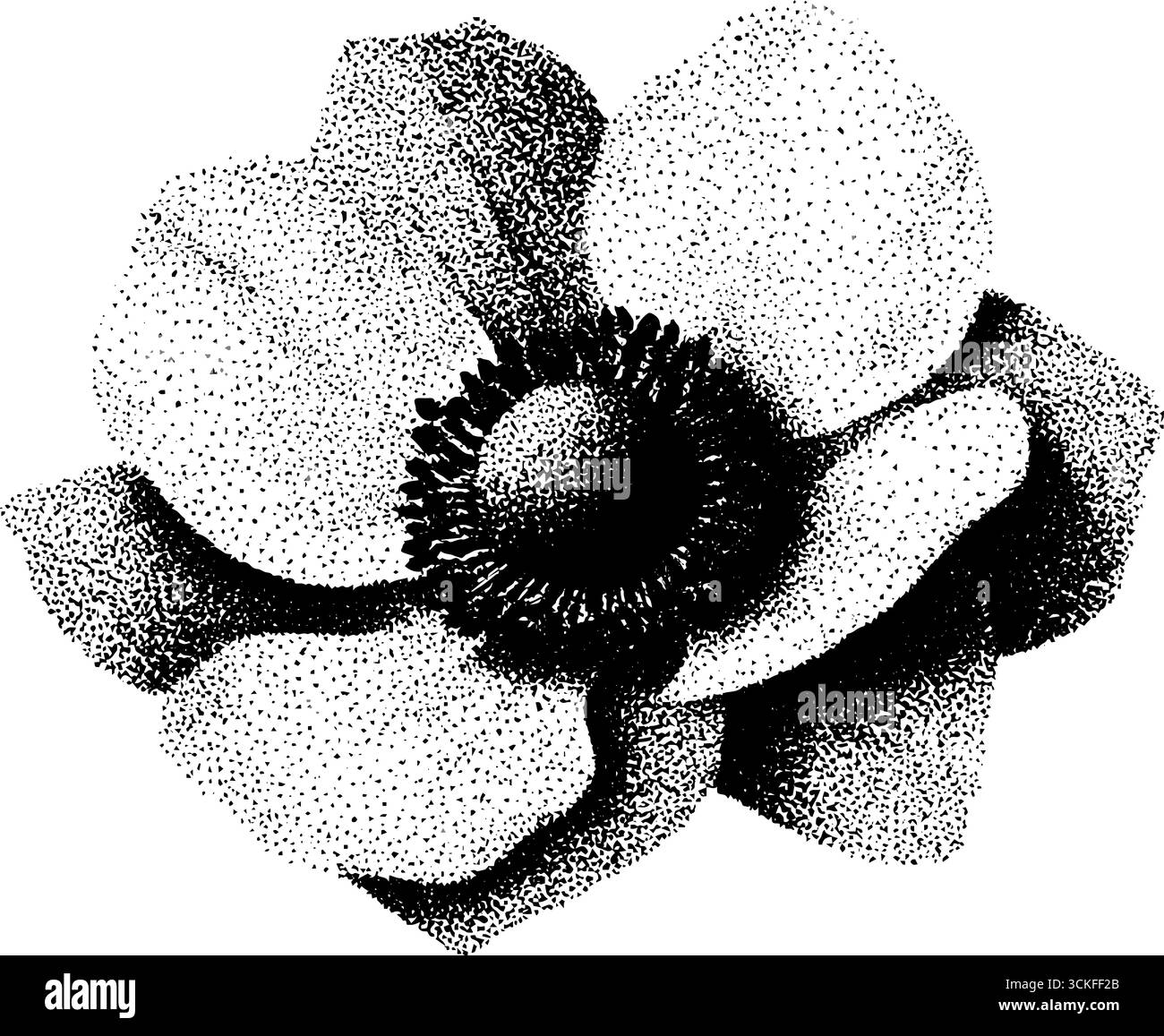 Pointillés détaillés et dotwork de fleur d'anémone pour la conception botanique. Illustration de Vecteur