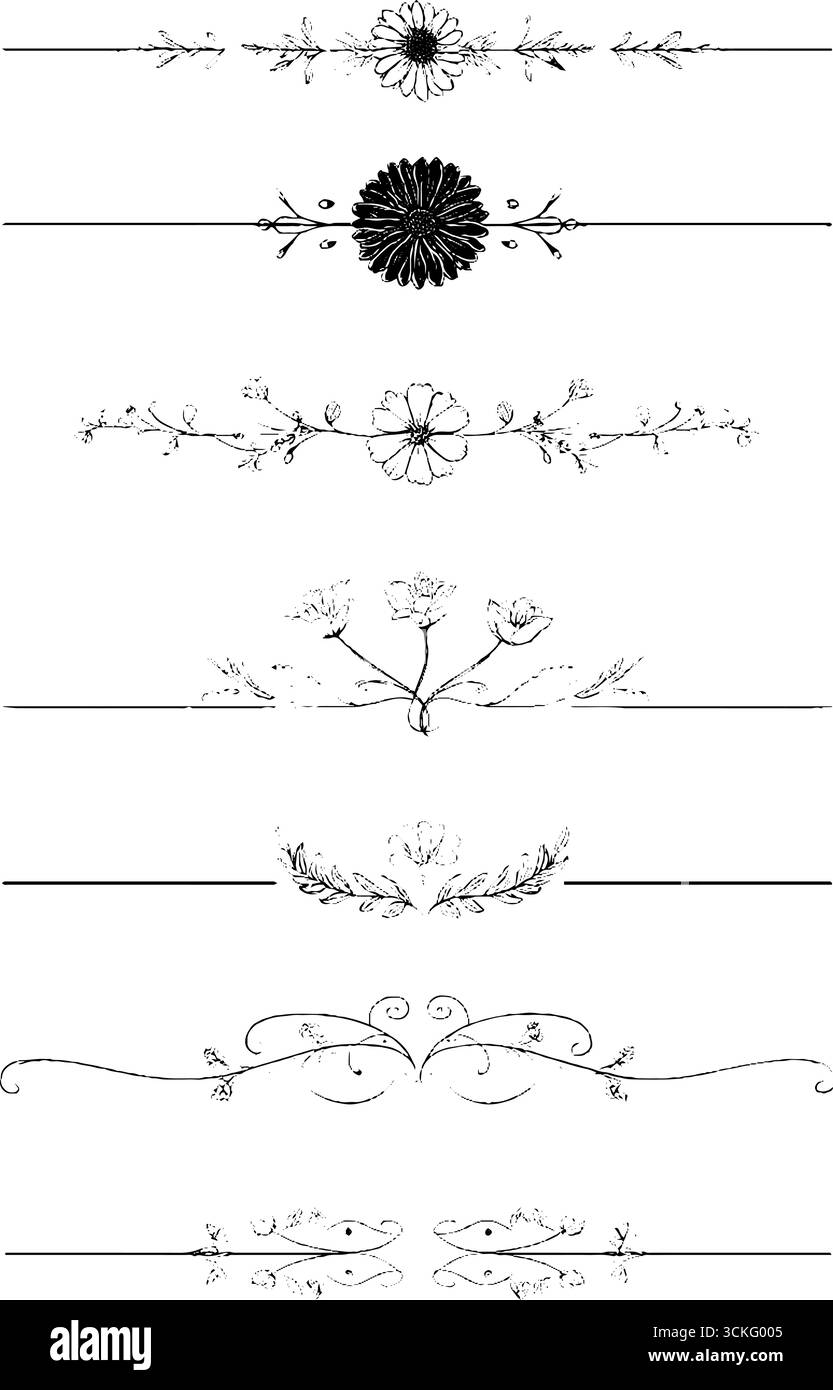 Élégante collection de rubans de fleurs d'été dessinés à la main pour le design décoratif. Illustration de Vecteur Élégante collection de rubans de fleurs d'été dessinés à la main pour le design décoratif. Illustration de Vecteur