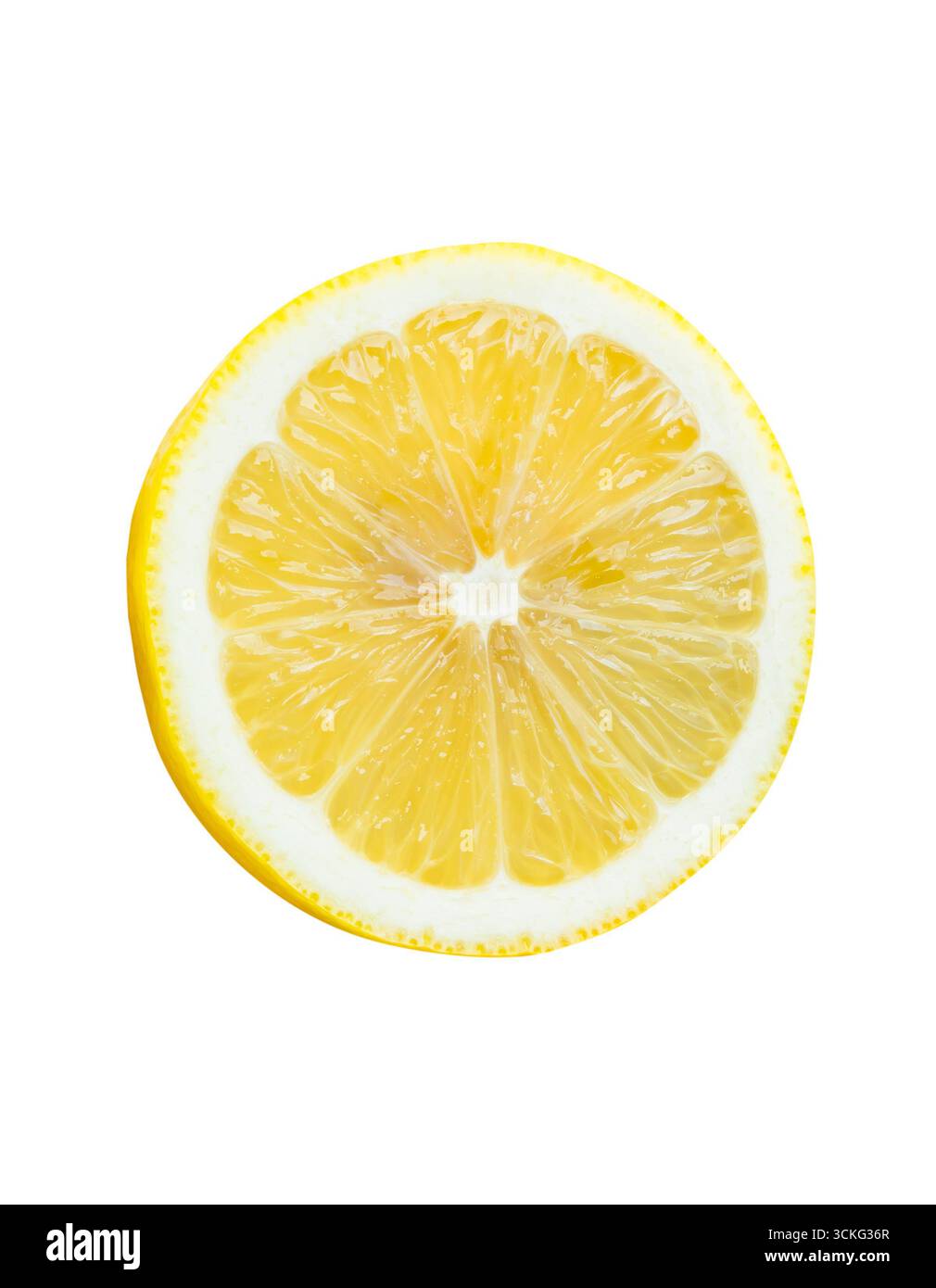 Vue de face du fruit de citron jaune mûr dans une tranche de cercle unique est isolé sur fond blanc avec chemin de découpage. Banque D'Images