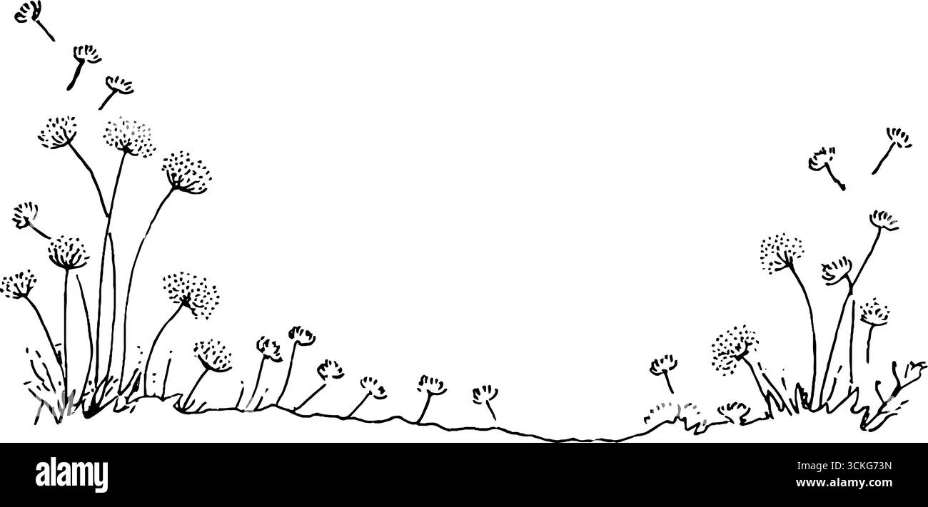 Doodle dessiné à la main de graines de pissenlit et conception de coin pour des projets créatifs. Illustration de Vecteur