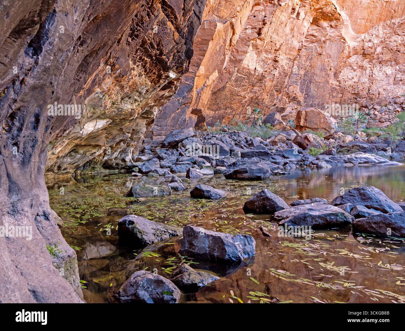 Black Rock Pool dans Piccaninny gorge, parc national de Purnululu Banque D'Images