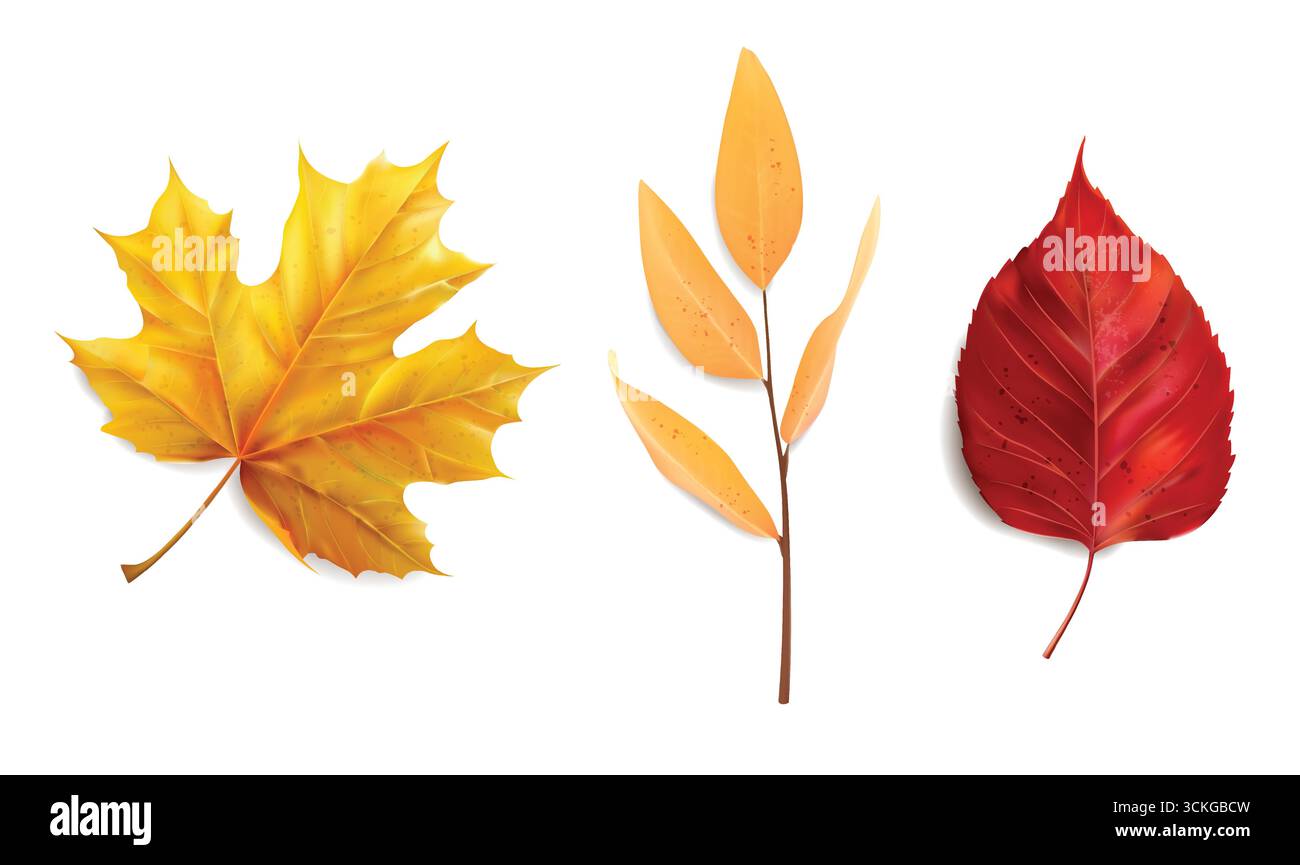 Conception de Thanksgiving, collection d'automne, ensemble confortable d'automne, conception pour affiches, cartes, autocollants Illustration de Vecteur