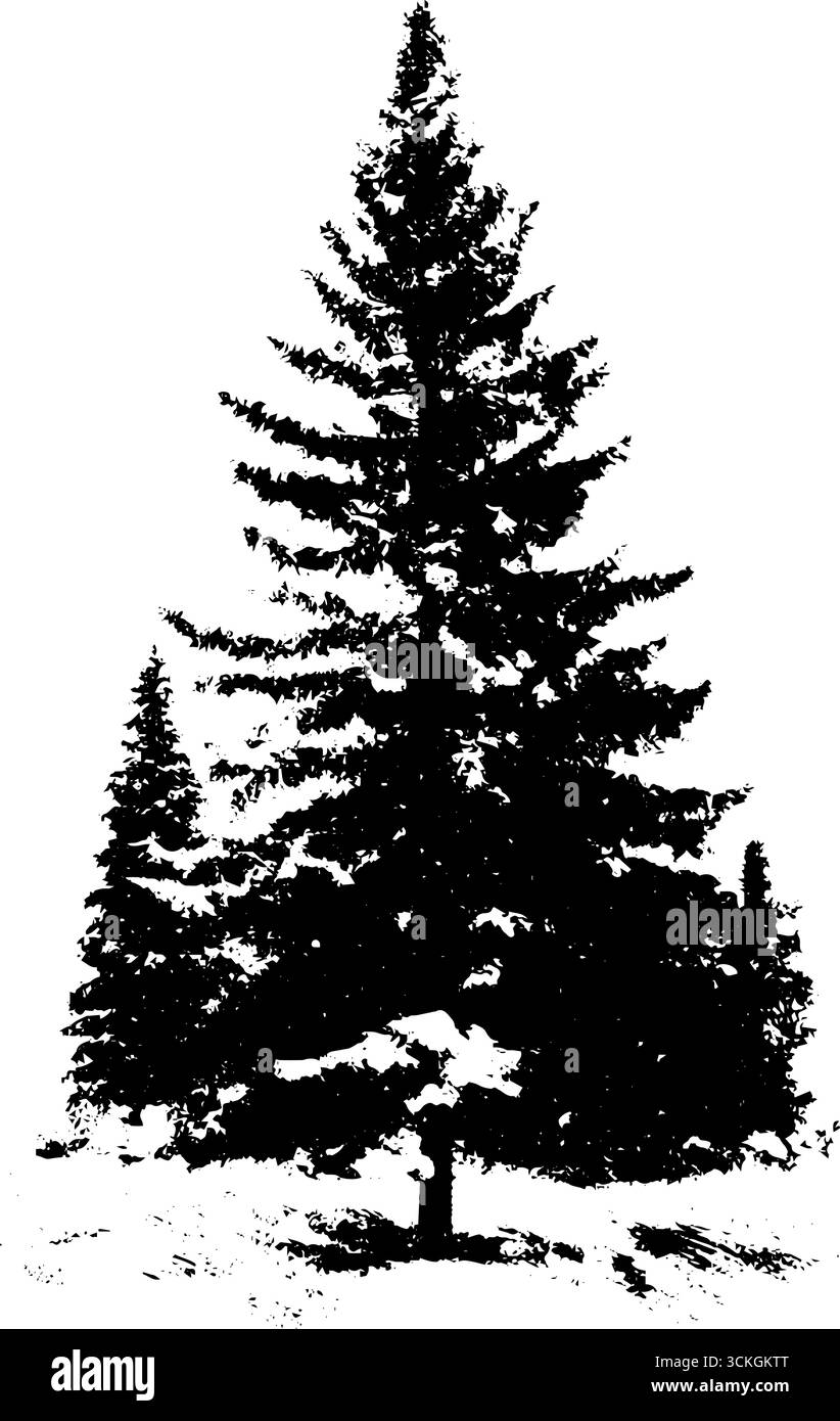 Grunge illustration de pin noir et blanc pour les projets de conception de la nature. Illustration de Vecteur