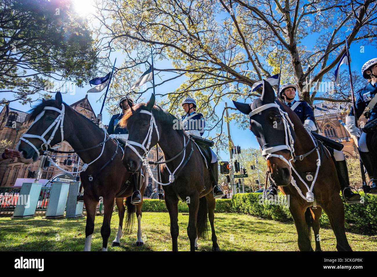 Sydney Australie 12 septembre 2025 : dirigée par l'inspecteur Kirsten McFadden, l'unité de police montée de Nouvelle-Galles du Sud, la plus ancienne unité montée au monde, a célébré 200 ans de service à la communauté avec un défilé dans la rue Macquarie de Sydney, devant le State Parliament House et sur le parvis de l'Opéra de Sydney. L'unité de la police montée compte plus de 30 policiers et chevaux de troupe, dont 75 % sont des femmes policières. Sur la photo, les officiers se rassemblent à Hyde Park avant la parade Credit : Stephen Dwyer / Alamy Live News Banque D'Images