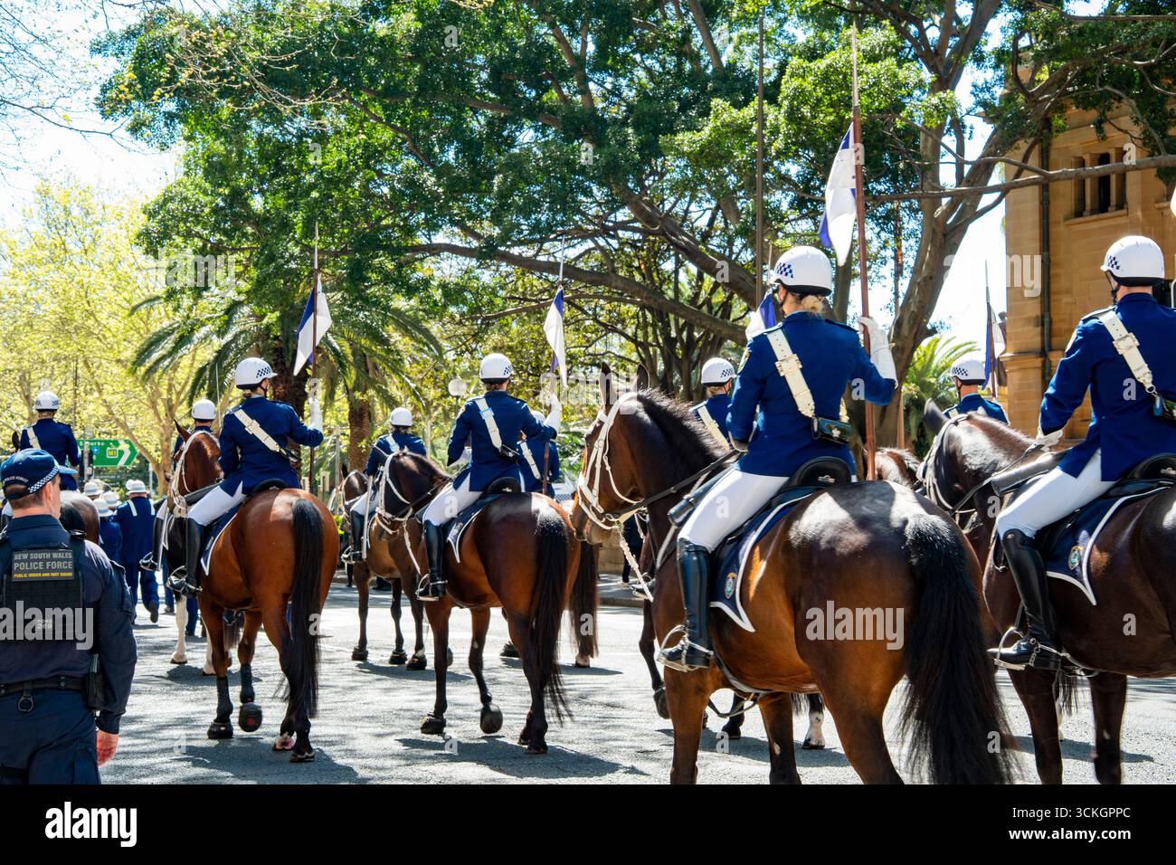Sydney Australie 12 septembre 2025 : dirigée par l'inspecteur Kirsten McFadden, l'unité de police montée de Nouvelle-Galles du Sud, la plus ancienne unité montée au monde, a célébré 200 ans de service à la communauté avec un défilé dans la rue Macquarie de Sydney, devant le State Parliament House et sur le parvis de l'Opéra de Sydney. L'unité de la police montée compte plus de 30 policiers et chevaux de troupe, dont 75 % sont des femmes policières. Sur la photo sont les officiers qui chevauchent dans le défilé sur Macquarie Street Credit : Stephen Dwyer / Alamy Live News Banque D'Images