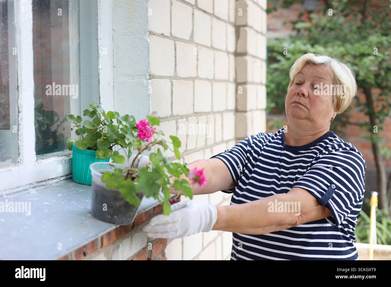 Portrait de femme âgée heureuse jardinage. Elle taille des fleurs. Banque D'Images