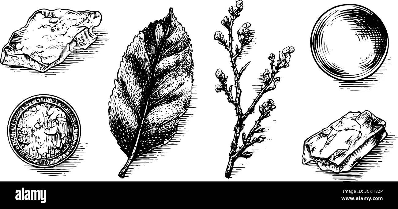Gravure vintage d'objets et de feuilles piégés dans la glace pour un design unique. Illustration de Vecteur