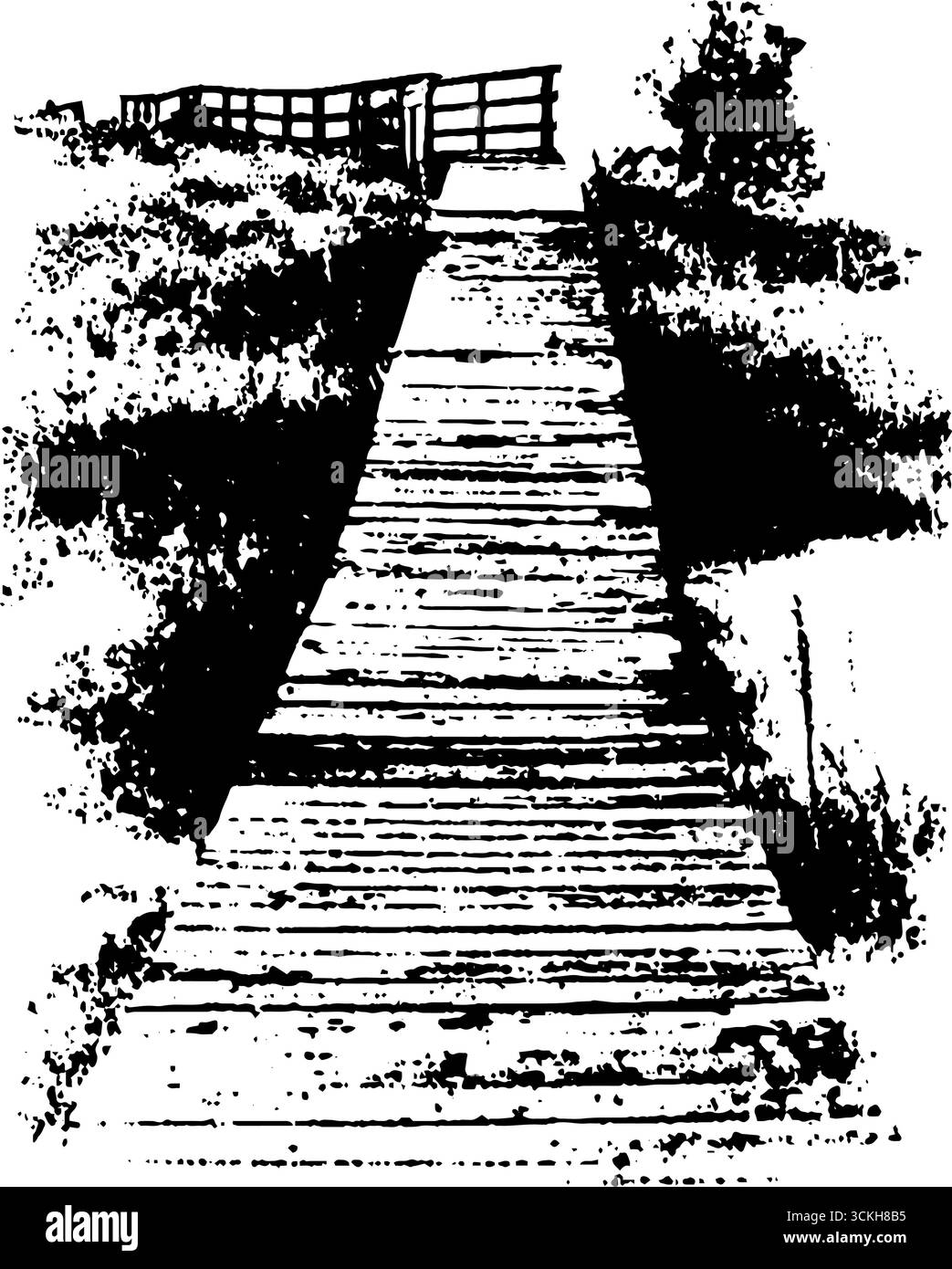 Pochoir noir et blanc à contraste élevé de passerelle en bois rustique dans la nature. Illustration de Vecteur