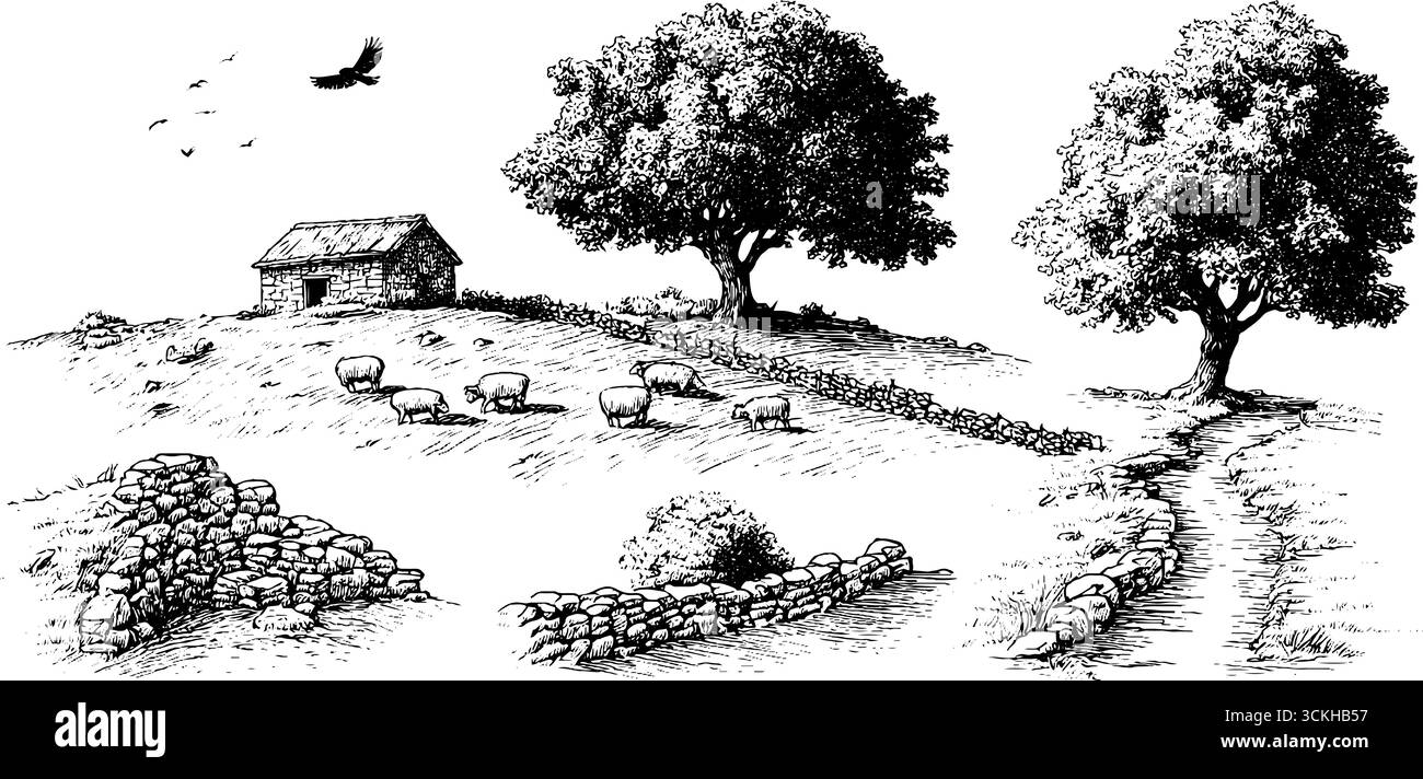 Scène rurale d'automne à flanc de colline avec moutons et chalet en pierre. Illustration de Vecteur