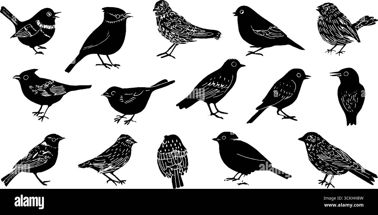 Collection Scandinavian Woodland Birds pour des designs inspirés de la nature. Illustration de Vecteur