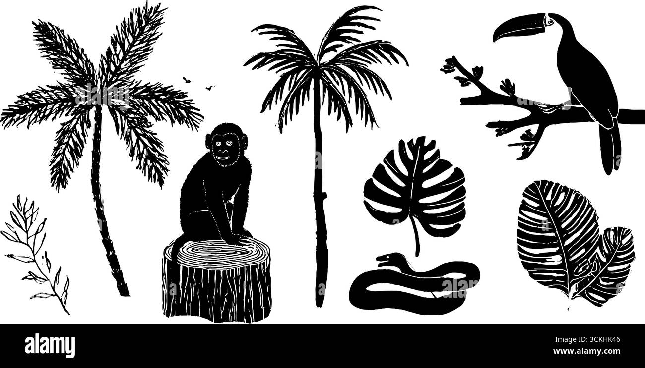 Collection de silhouette jungle avec singe, toucan et palmiers pour un design exotique. Illustration de Vecteur