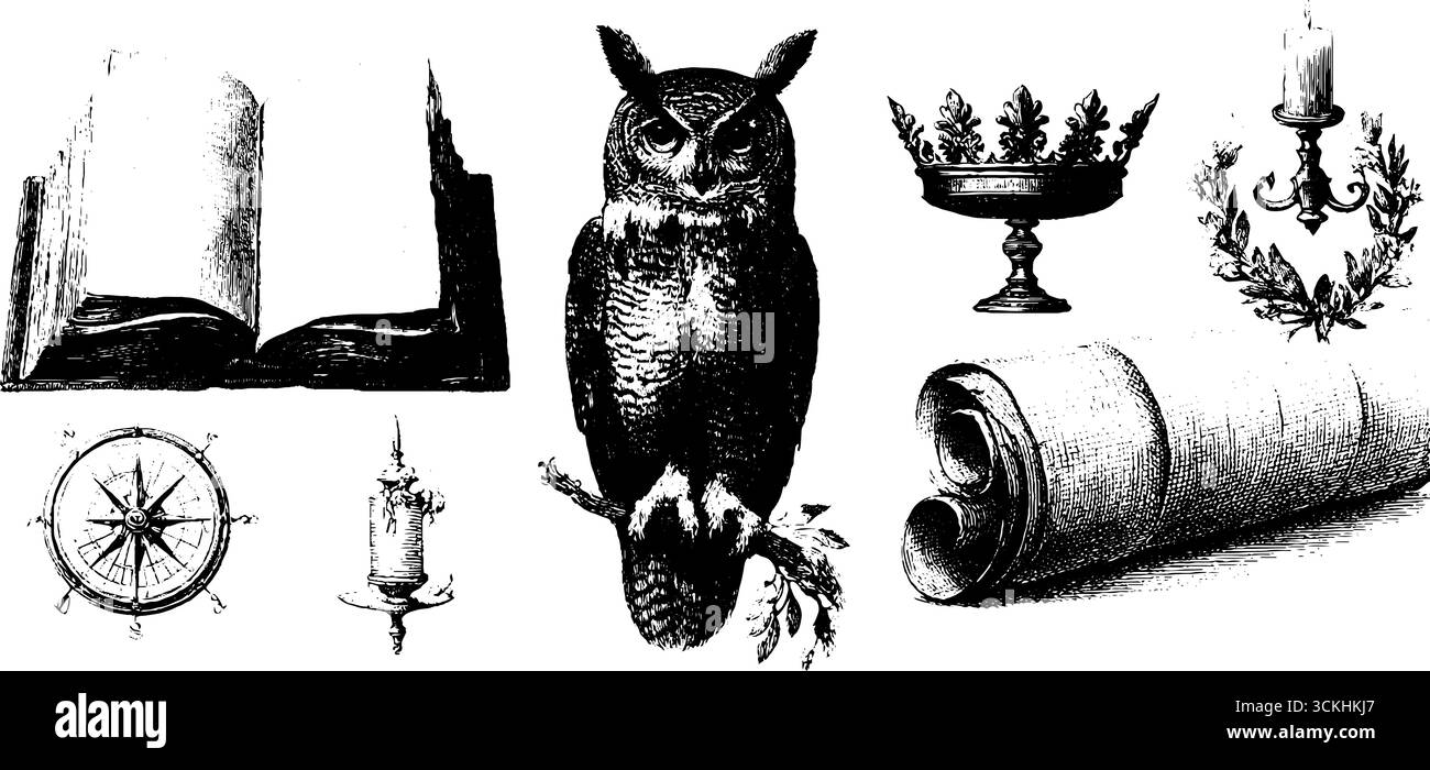 Allégorie de la sagesse : gravure d'éléments de conception mettant en vedette la collection hibou, livre et rouleau. Illustration de Vecteur