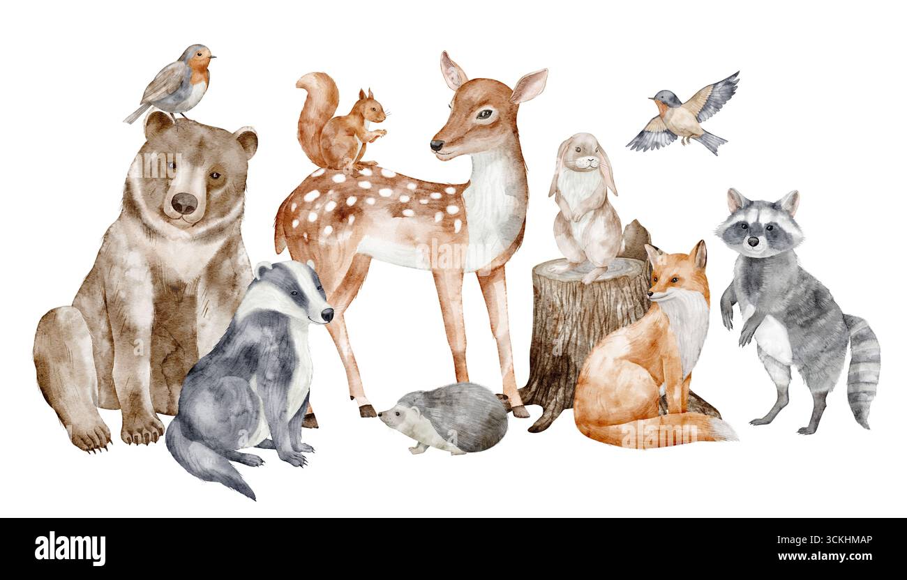 Illustration aquarelle des animaux de la forêt, y compris ours, cerf, renard, raton laveur, écureuil, oiseau, hérisson et blaireau. Dessin de la composition d'automne des bois pour affiche de pépinière ou cartes enfantines. Banque D'Images