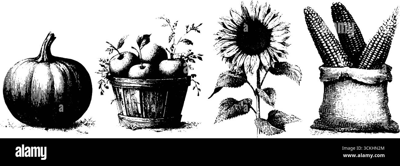Collection de récolte d'automne vintage avec citrouille gravée, panier de pommes, tournesol et motif de maïs. Illustration de Vecteur