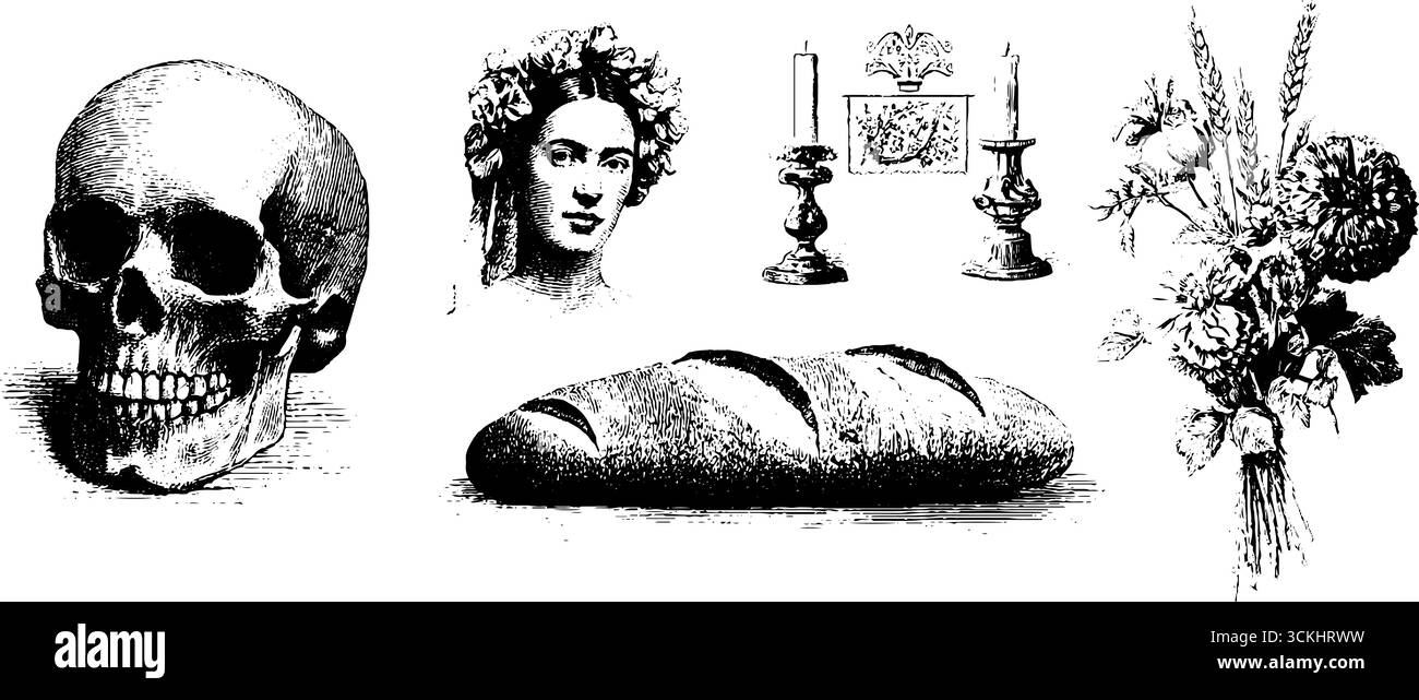 Collection Day of the Dead Celebration avec crânes, fleurs et pain pour un design festif. Illustration de Vecteur