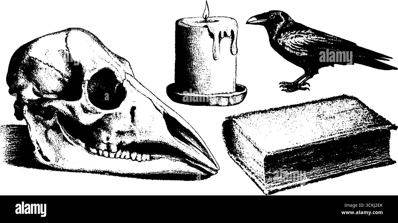 Vintage grunge noir et blanc illustration set avec corbeaux, crâne, bougie et livre pour la conception gothique. Illustration de Vecteur