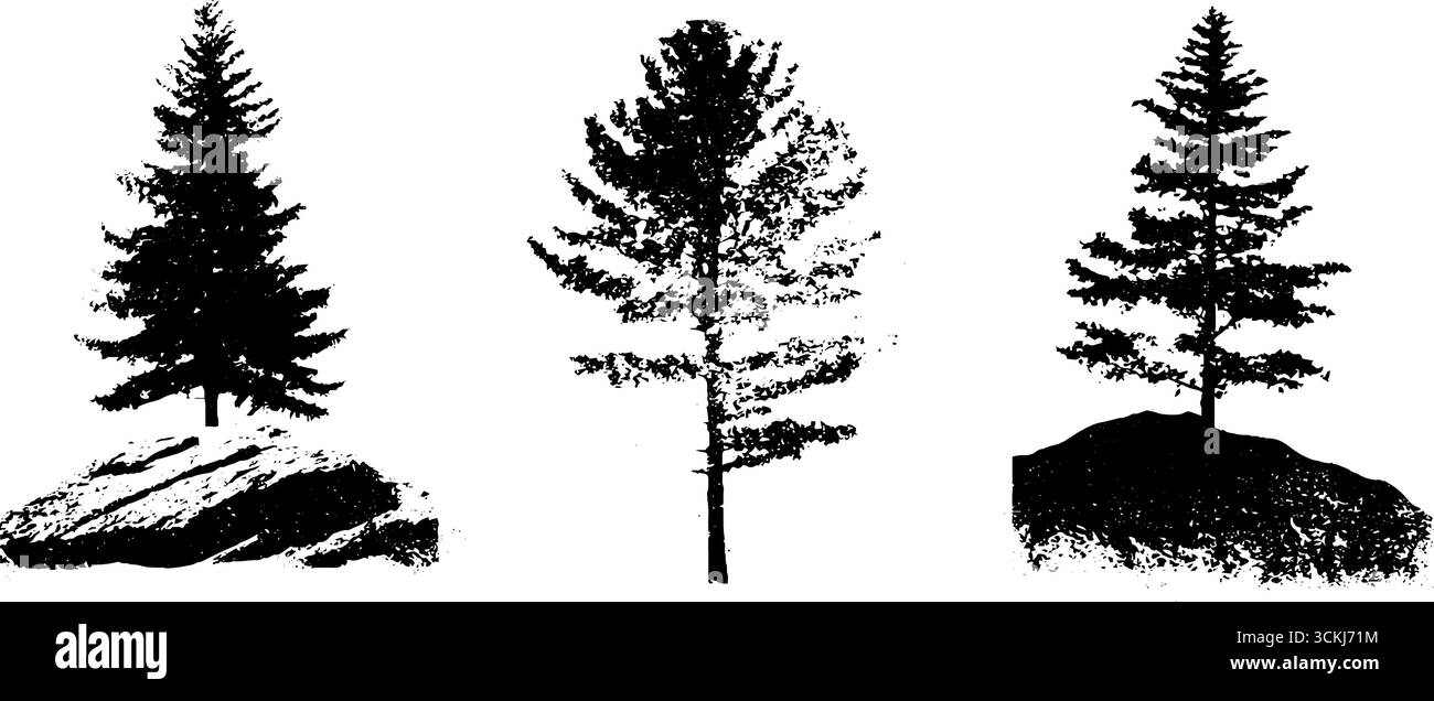Pochoir noir et blanc ensemble d'arbres à feuilles persistantes sur des rochers pour des conceptions artistiques. Illustration de Vecteur