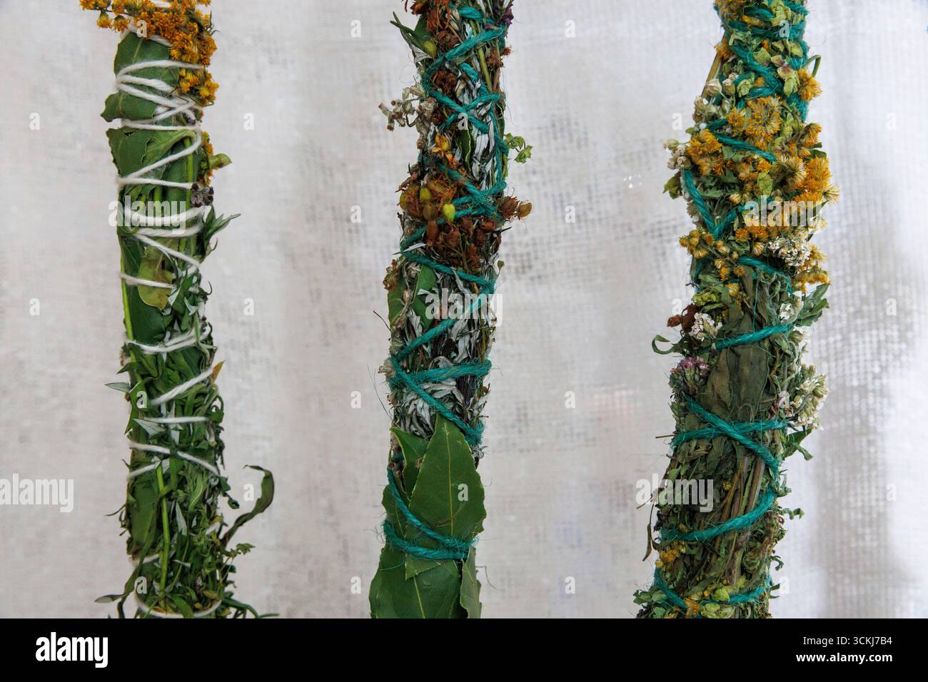 Bâtonnets de maculage, herbes sauvages séchées roulées en bâtonnets pour fumer, Allemagne. Banque D'Images