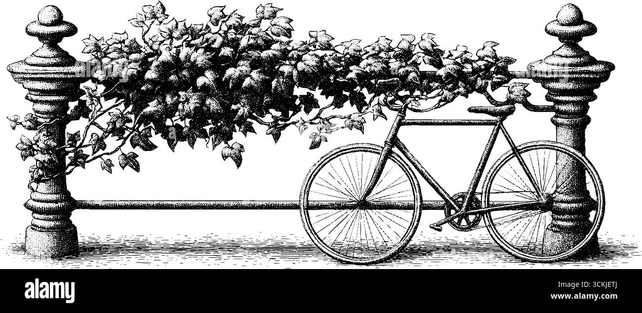 Vélo vintage appuyé contre la clôture de fer avec croquis de lierre rampant. Illustration de Vecteur