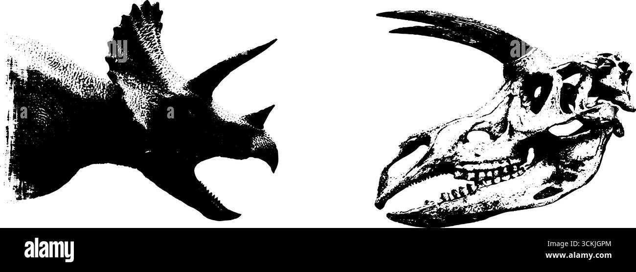 Ensemble d'art pochoir dinosaure avec silhouette triceratops et conception de crâne pour des projets créatifs. Illustration de Vecteur