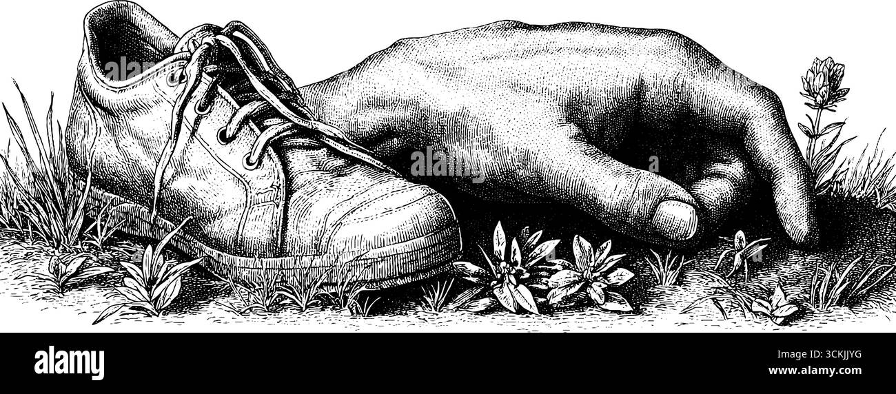 Gravure vintage dessinée à la main d'une chaussure et main reposant dans l'herbe - scène de nature rétro. Illustration de Vecteur