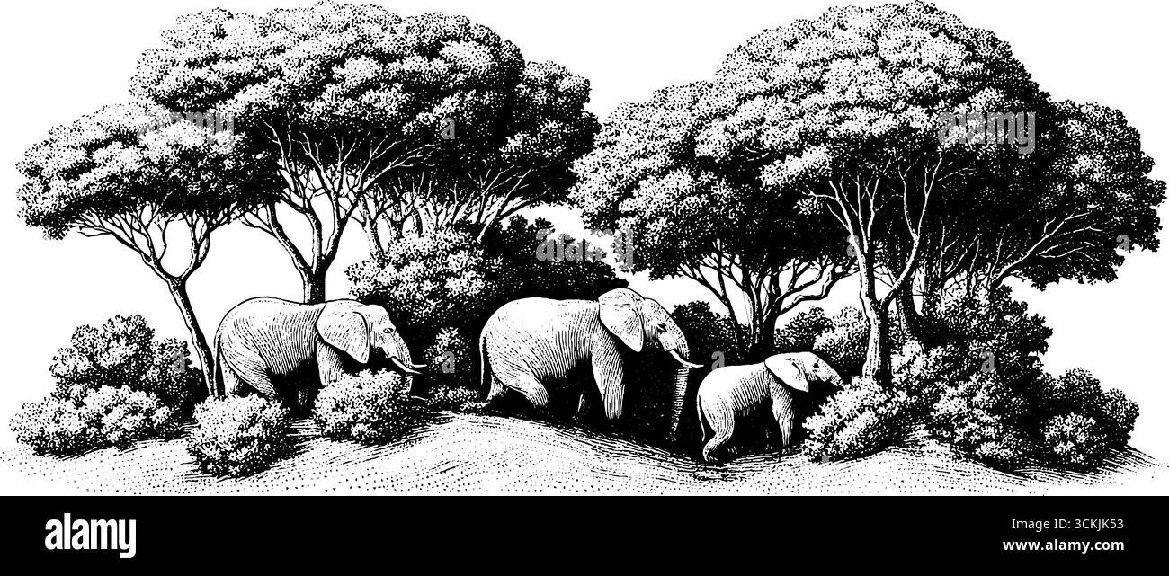 Illustration vintage d'éléphants butinant parmi les arbres de brousse dispersés. Illustration de Vecteur