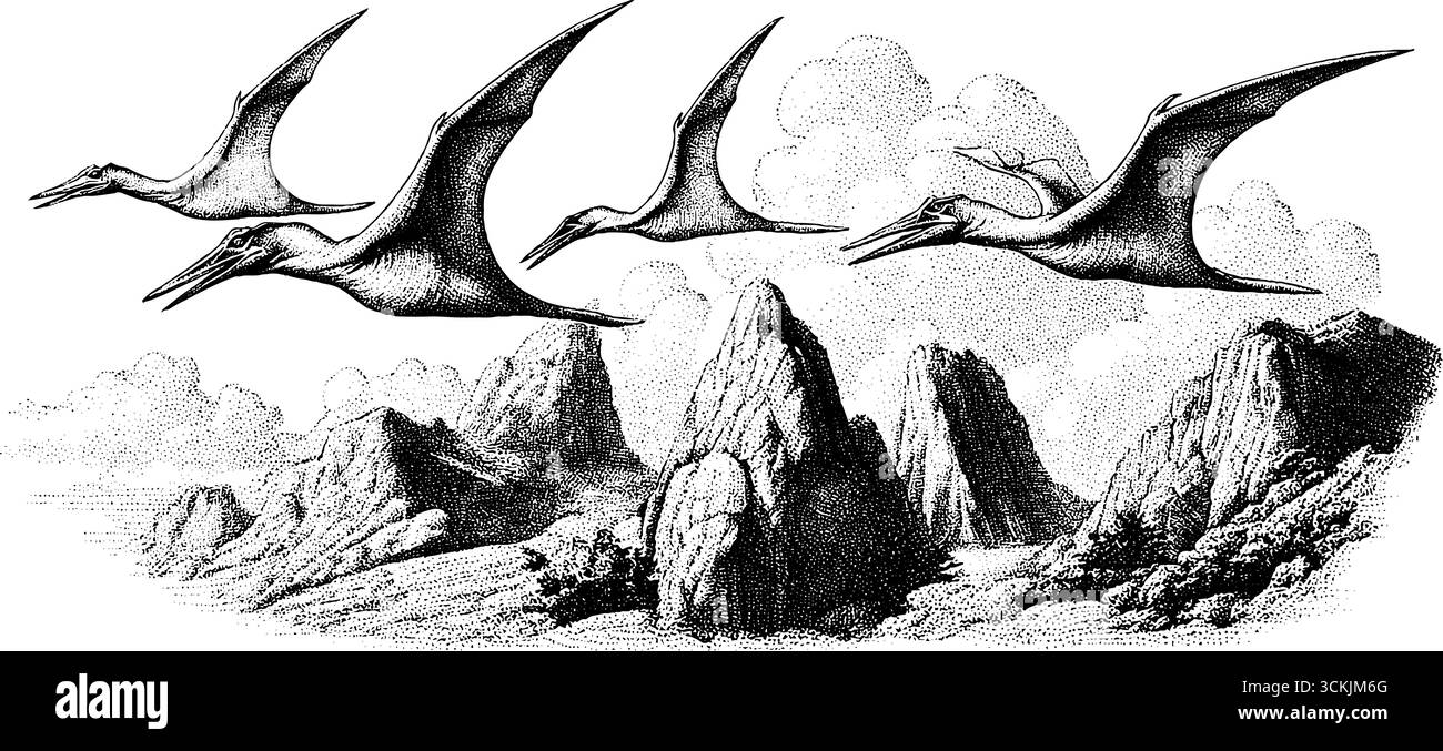 Ptérodactyles planant au-dessus des falaises volcaniques dans l'illustration de paysage préhistorique. Illustration de Vecteur