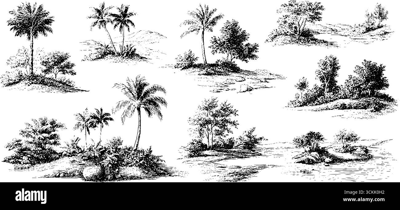 Paysages tropicaux vintage : gravures dessinées à la main de paysages insulaires pour des designs rétro. Illustration de Vecteur