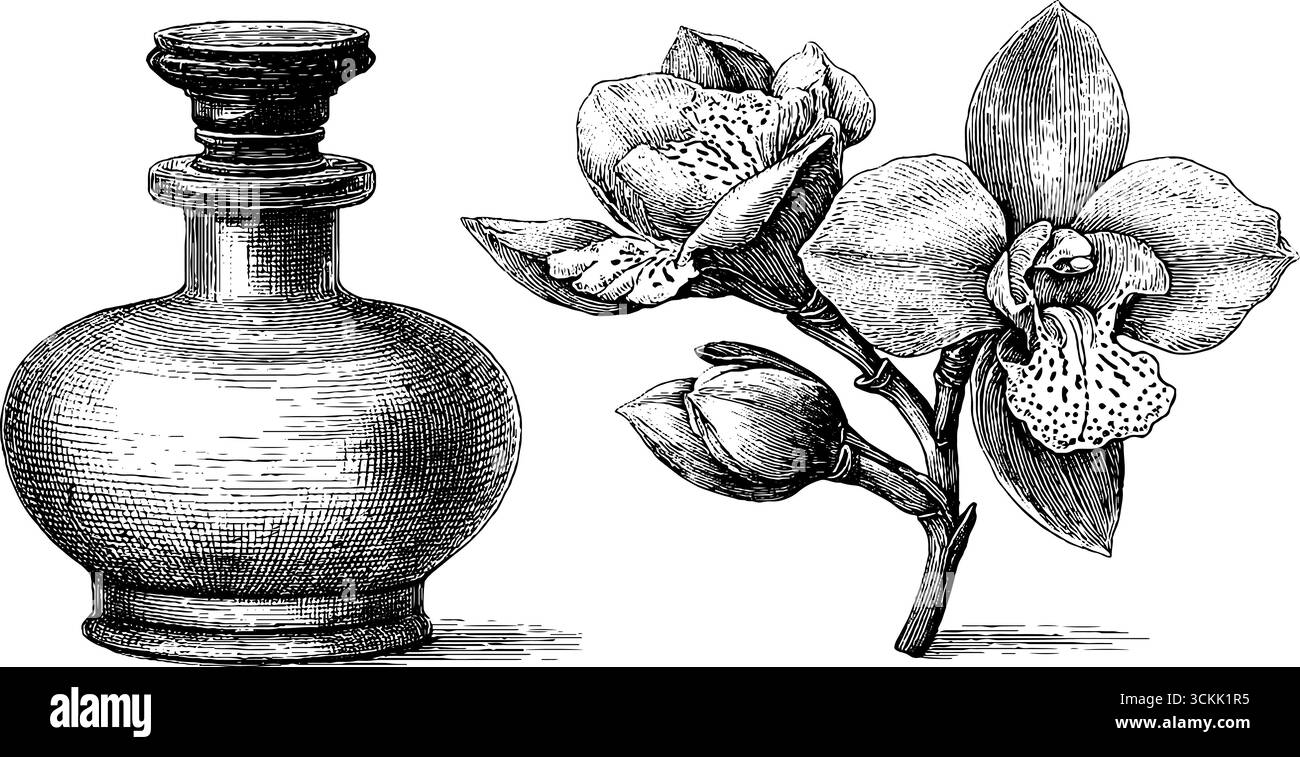 Bouteille de parfum vintage et croquis d'orchidée avec un design élégant de dentelle pour un décor rétro. Illustration de Vecteur