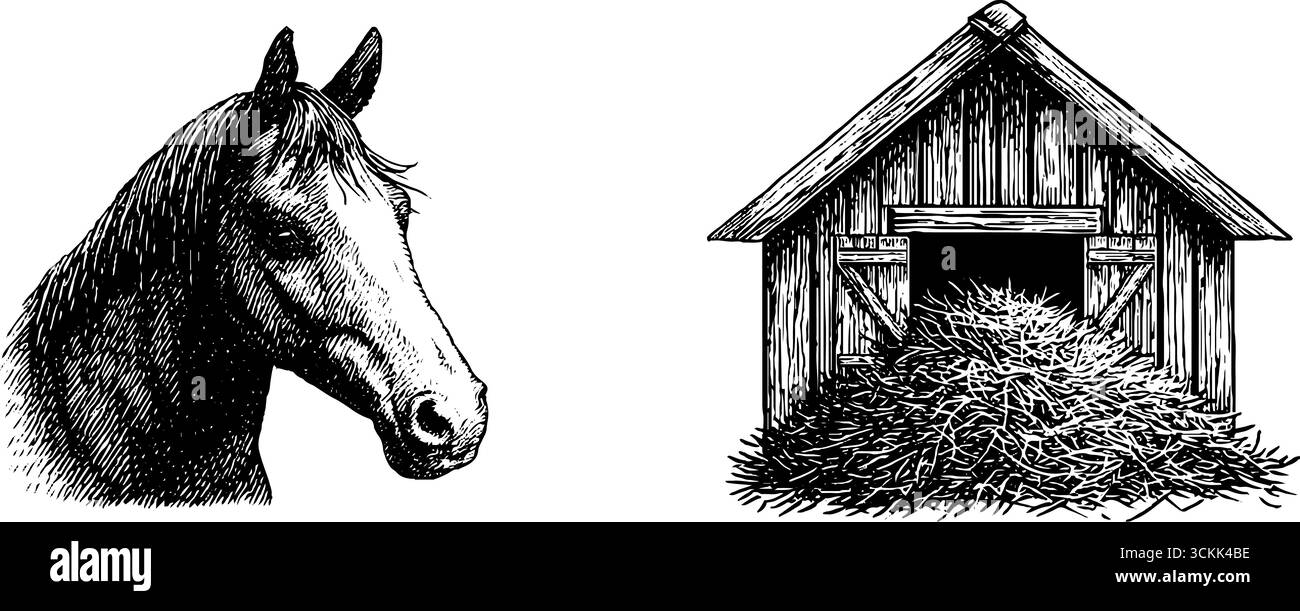 Cheval gravé et scène stable pour les projets de design rustique et vintage. Illustration de Vecteur