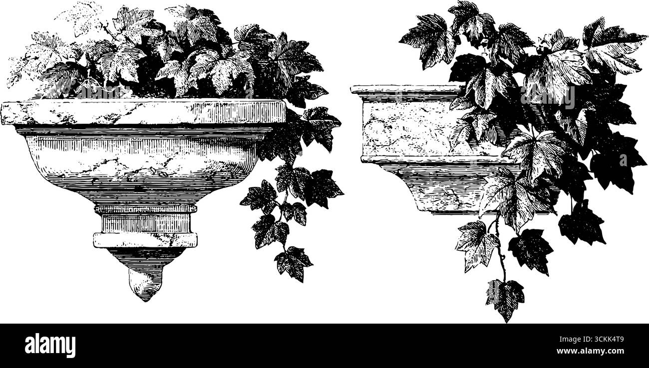 Bec de fontaine en pierre vintage avec une végétation luxuriante pour un design décoratif classique. Illustration de Vecteur