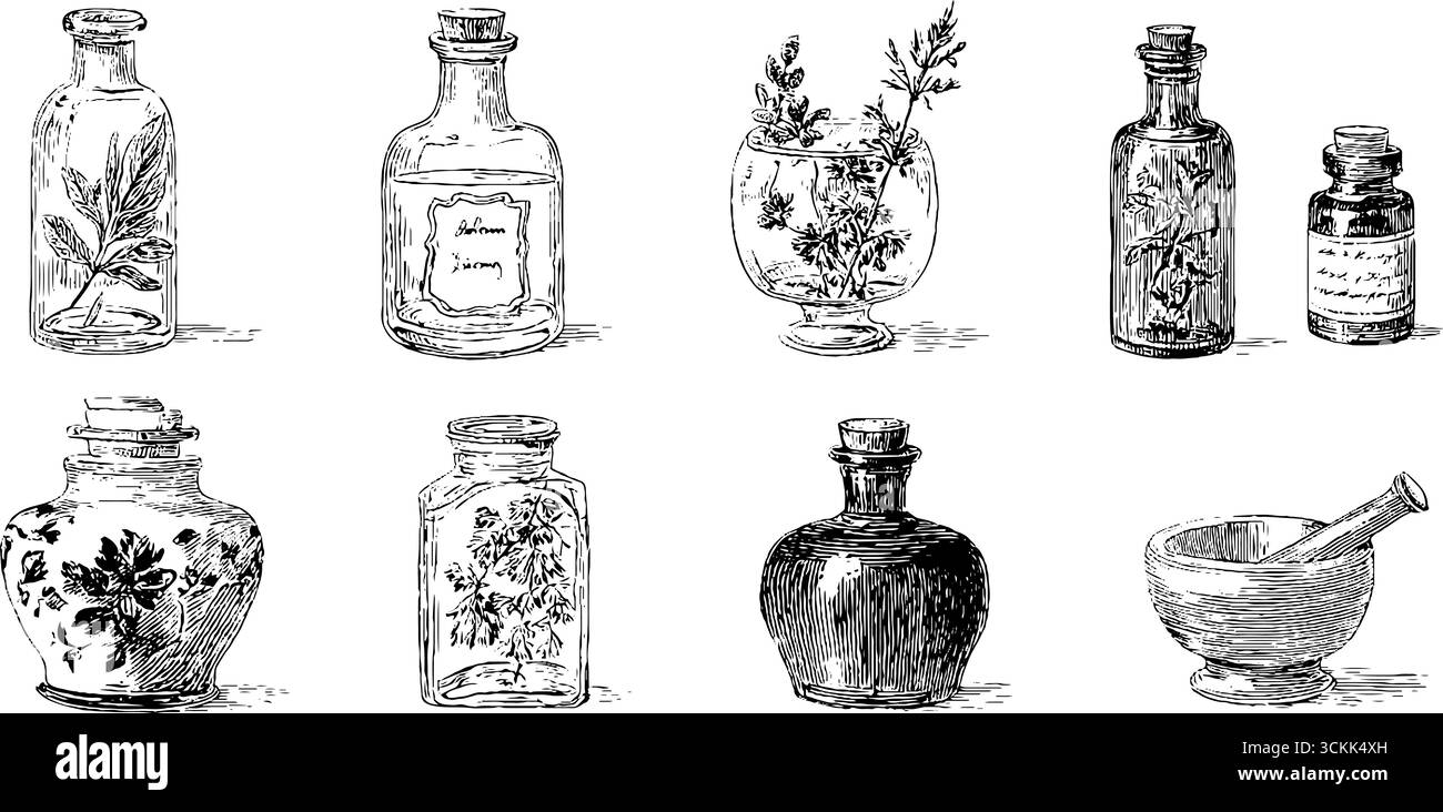 Collection de bouteilles en verre vintage avec des illustrations à base de plantes et de fleurs dans un style croquis noir et blanc. Illustration de Vecteur