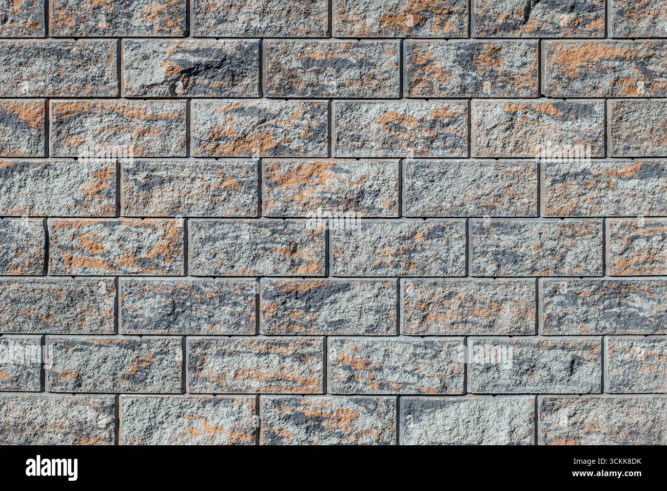 Carreaux rectangulaires en forme de briques alignés à motifs en pierre, décoration de clôture extérieure Banque D'Images