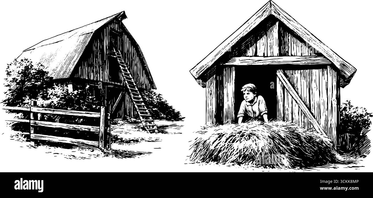 Scène de grange rustique avec échelle et garçon jetant un coup d'œil de botte de foin - illustration vintage gravée. Illustration de Vecteur