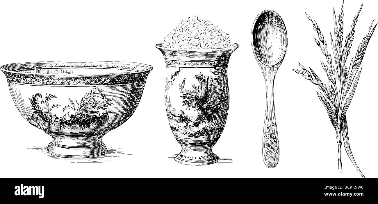 Gravures vintage sur le thème du riz avec bols, cuillère et illustration de plante de riz. Illustration de Vecteur