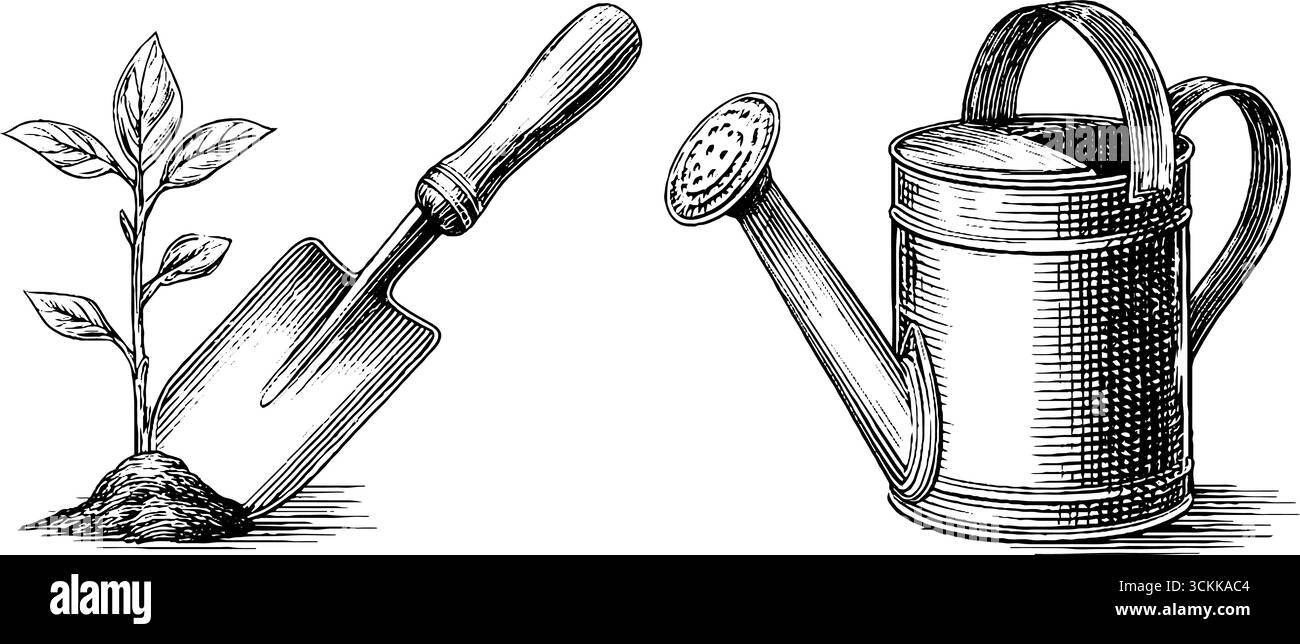 Outils de jardinage vintage et illustration de semis pour la conception de soins des plantes. Illustration de Vecteur