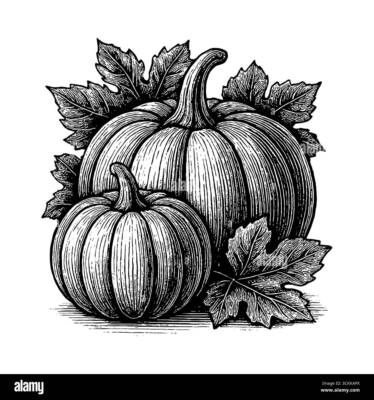 La citrouille, symbole de la récolte abondante et du jour de la récolte, jour de Thanksgiving Illustration de Vecteur