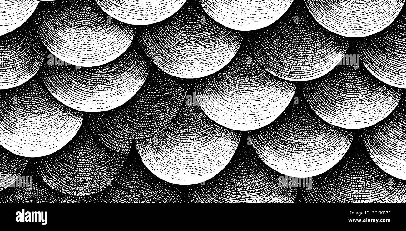 Motif d'écailles de poisson gravé pour le design abstrait et la décoration. Illustration de Vecteur