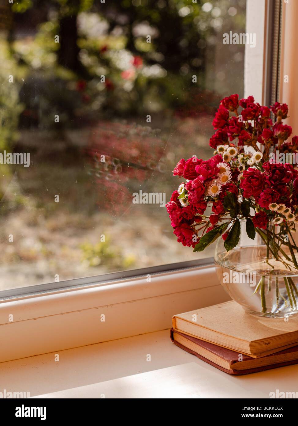 Œillets rouges et marguerites blanches dans un vase en verre sur le rebord de la fenêtre avec des livres, vie morte confortable à la maison. Banque D'Images