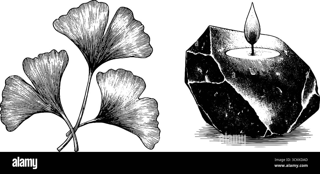Illustration gravée vintage de feuilles de ginkgo et conception de coin de bougie en pierre pour un décor artistique. Illustration de Vecteur