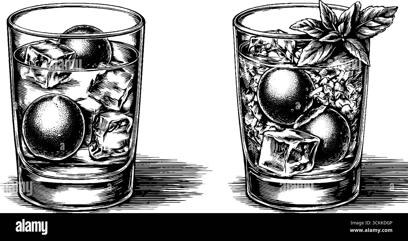 Boissons glacées melon gravé vintage avec de la glace et des herbes. Illustration de Vecteur